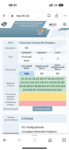 Русский язык ЦТ