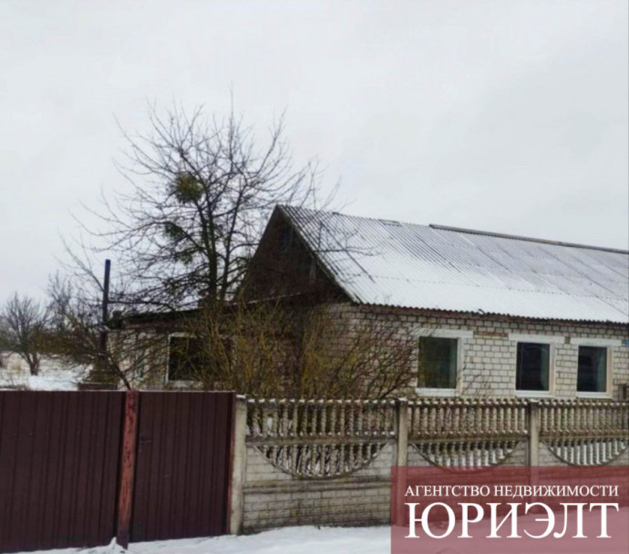 Кирпичный жилом дом в деревне Василевка