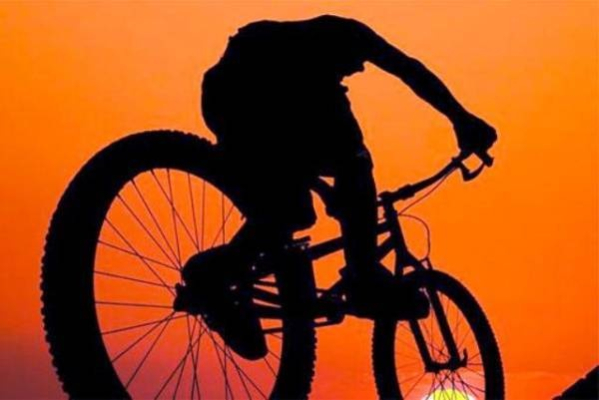 С начала года в Бобруйске украли 40 велосипедов