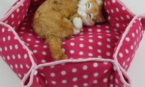 Лежаки и лежанки для кошек: виды, особенности выбора