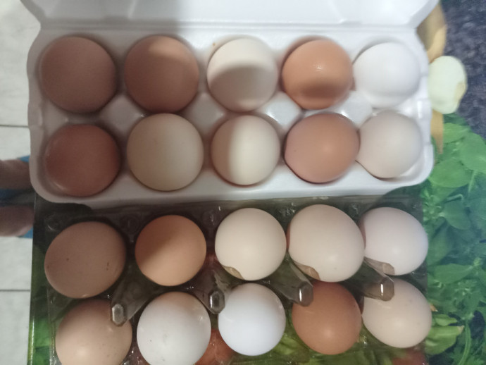 Куриные деревенские яйца 4.5руб. за десяток