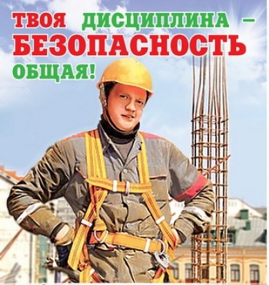 Стих тима собакина Стих тима собакина