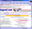 ����������� ������ ����������� ������� bigmir)net ��� �������