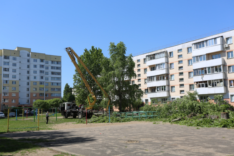 9 новых детских площадок для Бобруйска в 2024: начались подготовительные работы