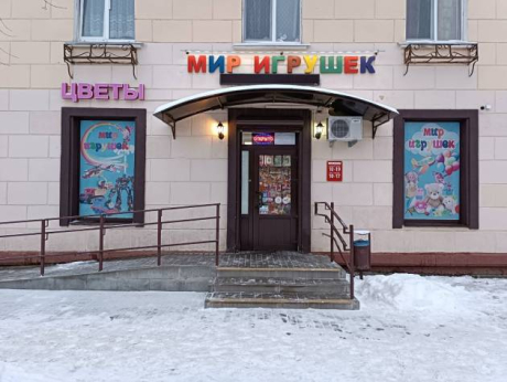 Мир игрушек. Магазин игрушек