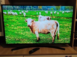 Телевизор LG 43UM7450PLA 4K Smart TV