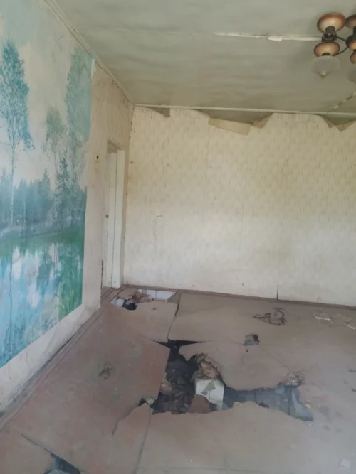Кирпичный дом В Каменке бобруйский район