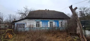 Жилой дом в д.Изюмово