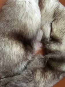 Воротник-шарф-опушка из меха песца 100 см