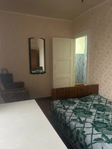 Трехкомнатная квартира в д. Каменка