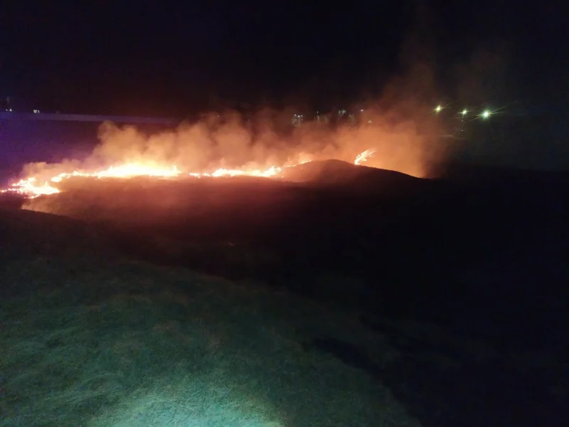 Полыхает трава.  Бобруйск
