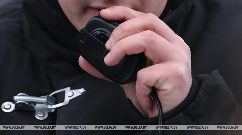 В Бобруйском районе в поле загорелся зерноуборочный комбайн