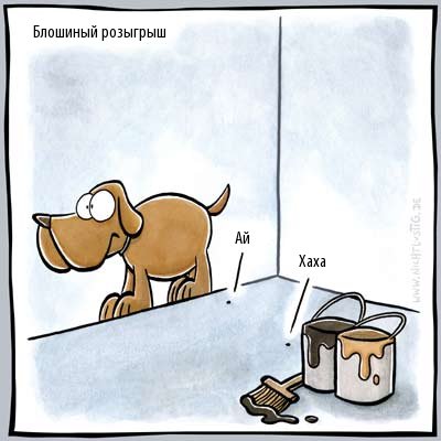 Розыгрыши