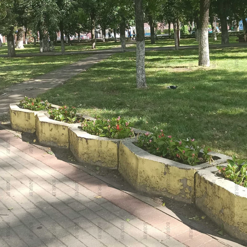 Цветочки есть - класс, но клумбы покрасить бы.. площадь победы