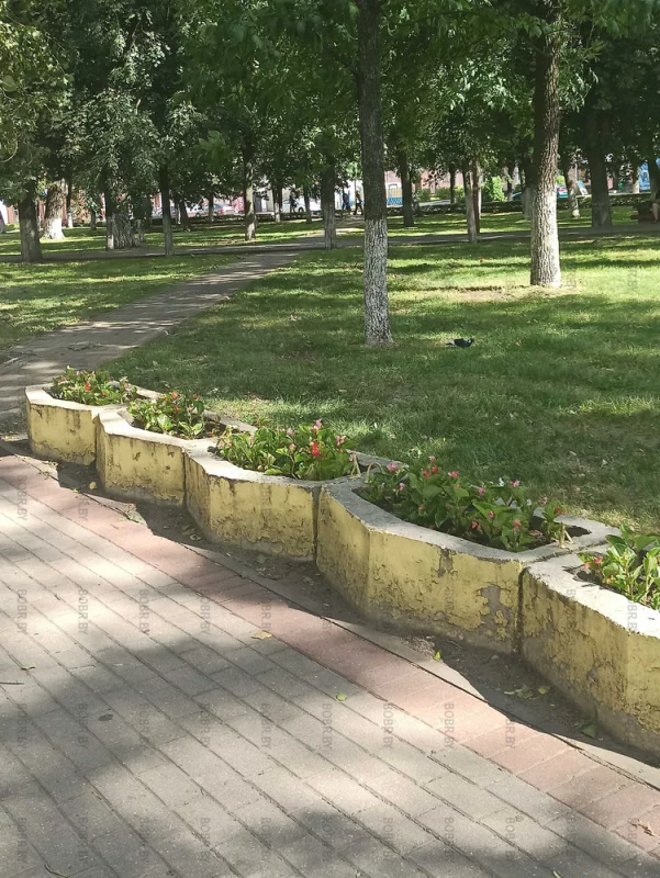 Цветочки есть - класс, но клумбы покрасить бы.. площадь победы
