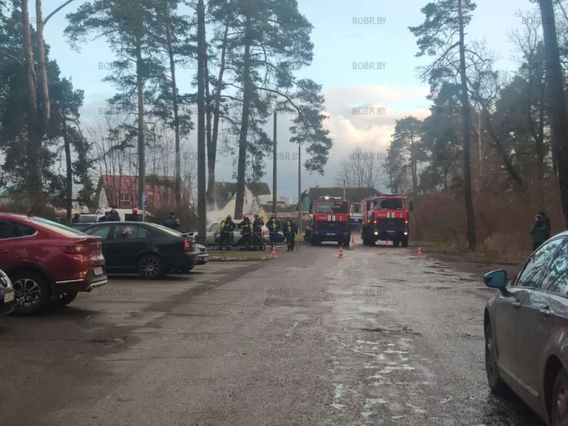 Пожариники спасают