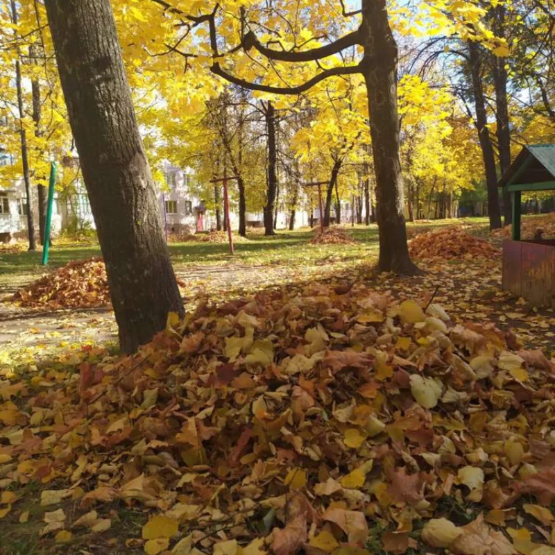 Осенние \