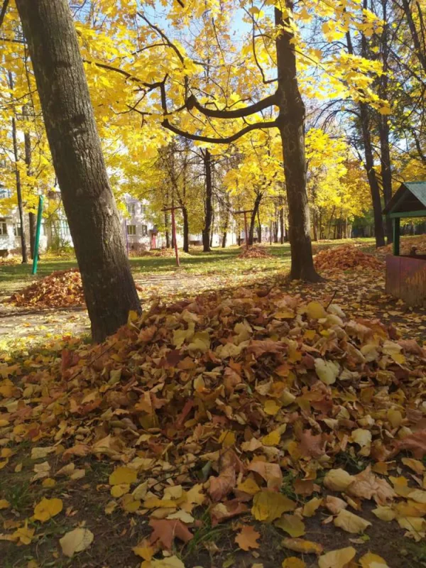 Осенние "кучки"