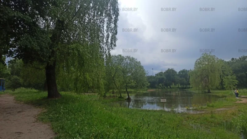 Красоты бобруйского парка. Но купание запрещено! 