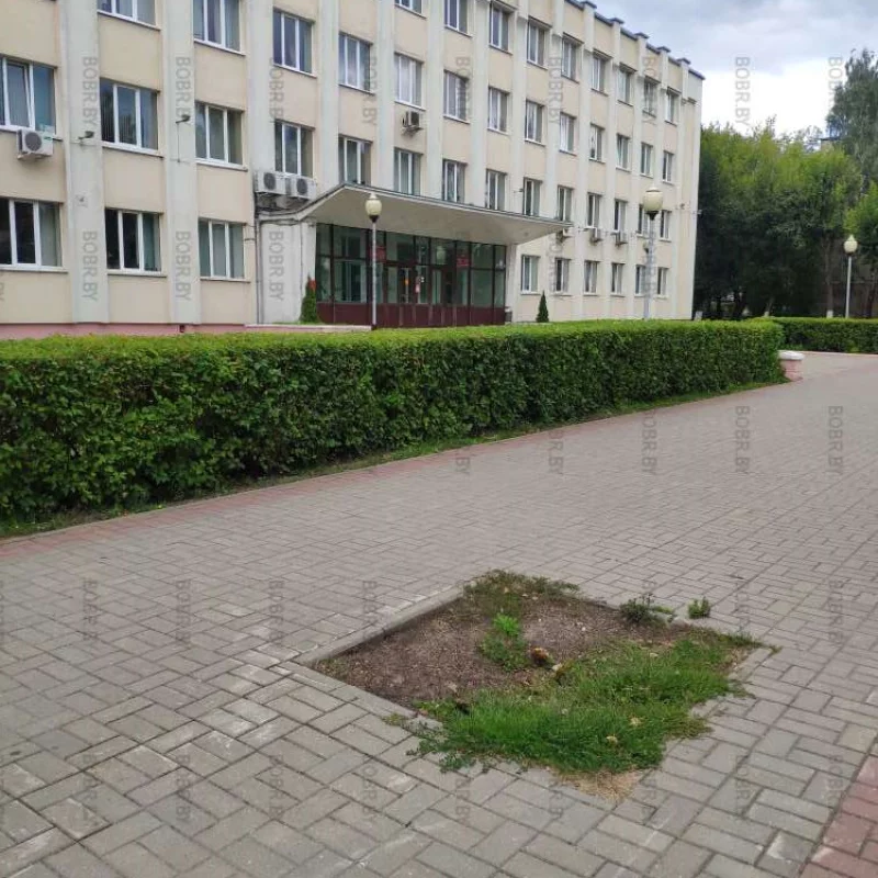 Было дерево, и нет дерево.