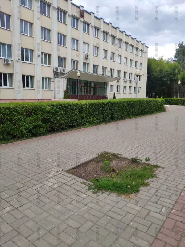 Было дерево, и нет дерево.