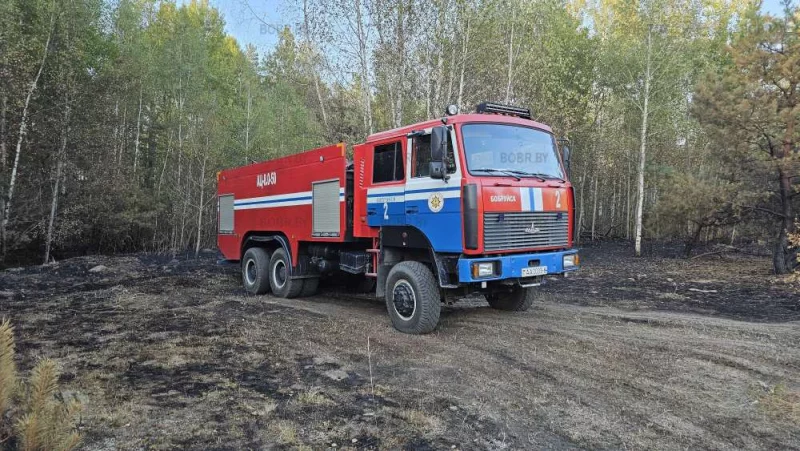 Тушение пожара в лесу
