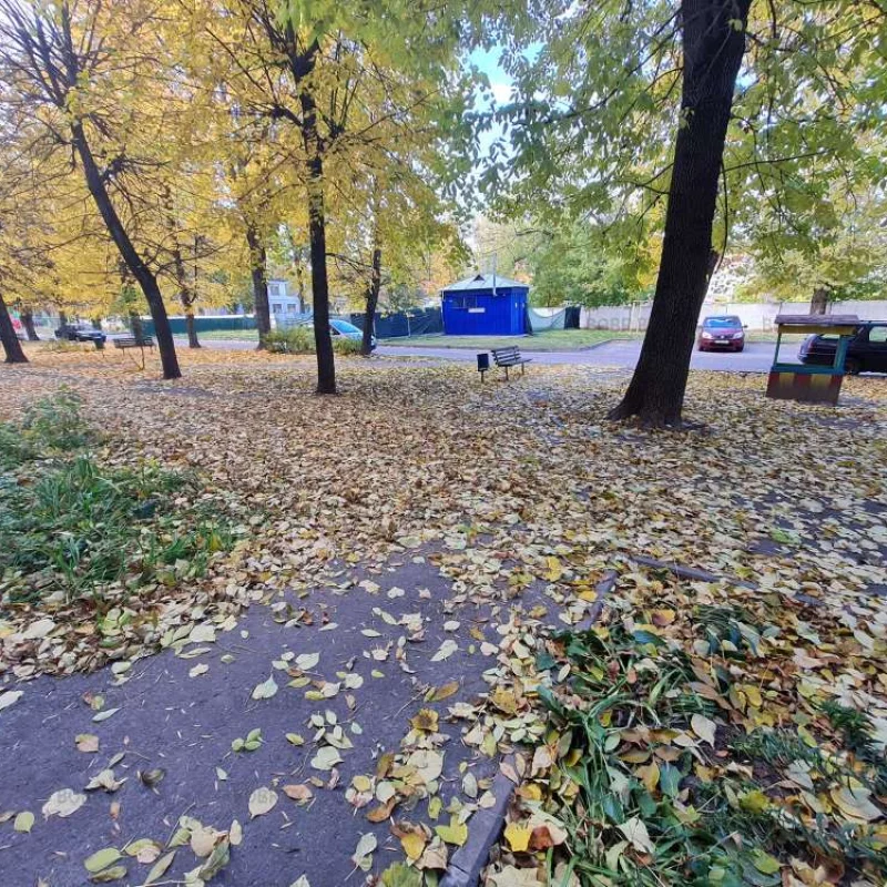 Жэу решило не утруждать себя уборкой листвы