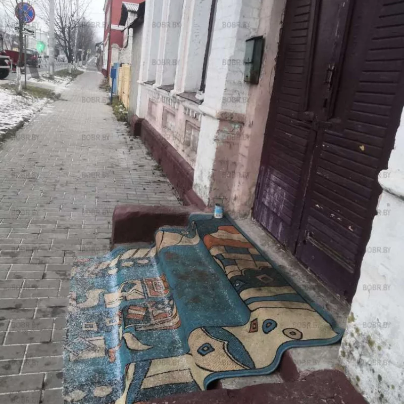 Вот так нужно встречать гостей с улицы) 