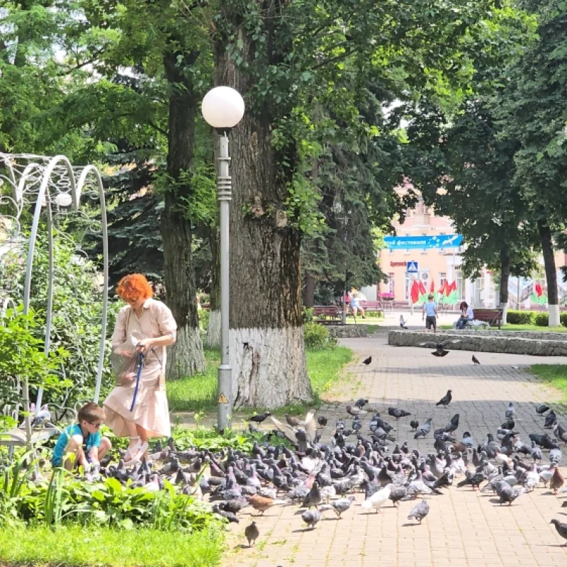 Сквер с голубями