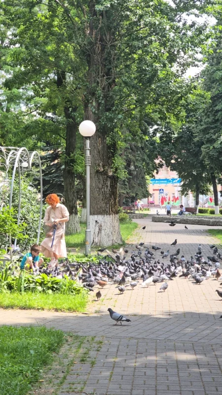 Сквер с голубями