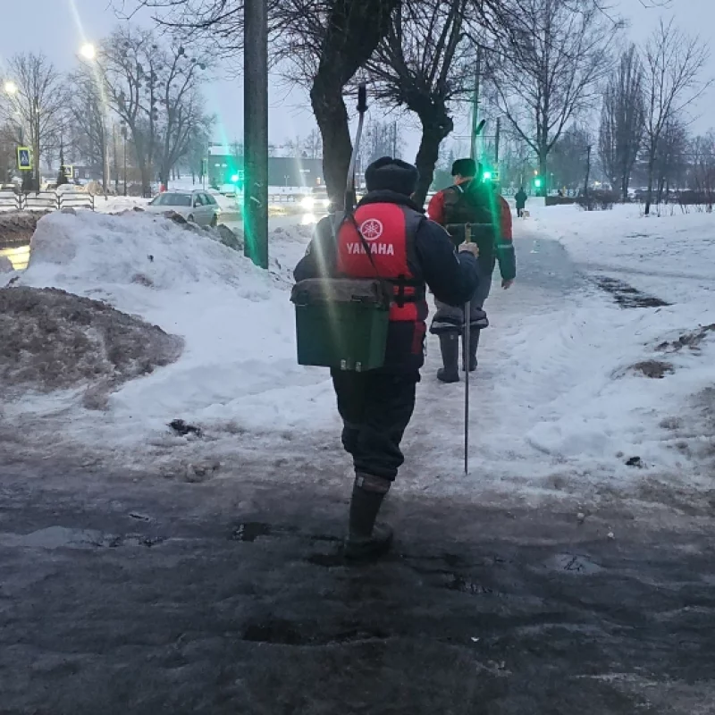 Рыбаки куда-то утром тянутся