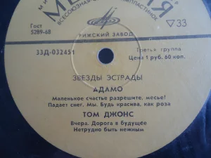 Виниловые пластинки