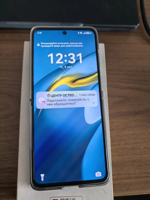 Huawei P50 pocket 1000р
