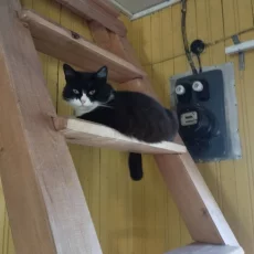 Нужна помощь