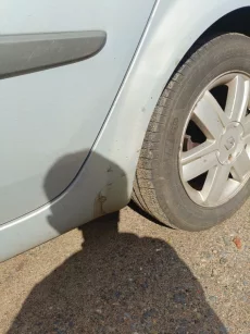 Рено Сценик