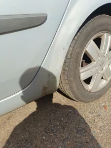 Рено Сценик