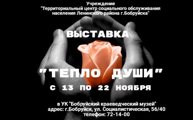 В Бобруйске с 13 по 22 ноября пройдет выставка «Тепло души»