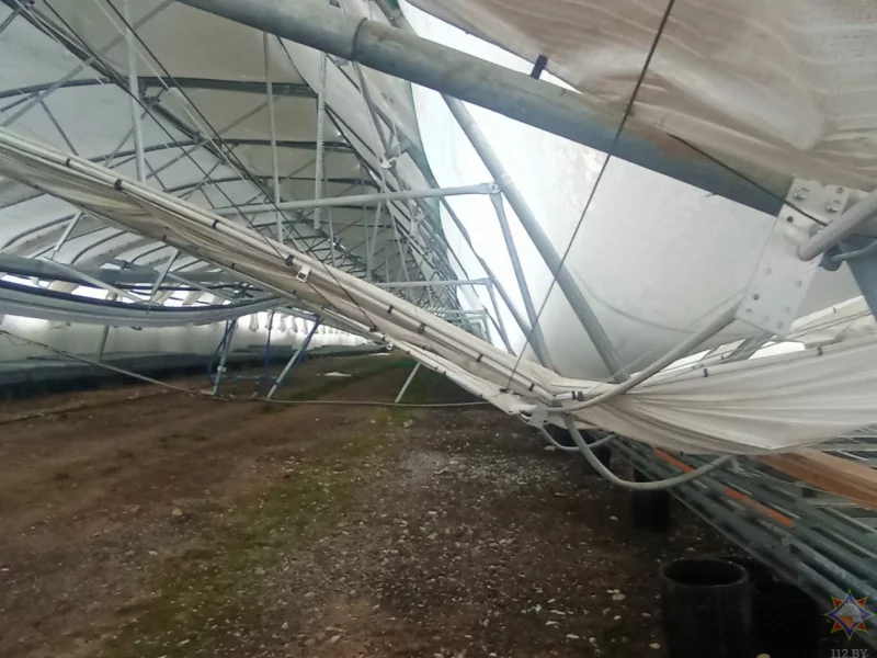 Под Бобруйском из-за снега обрушился каркас теплицы лесного питомника