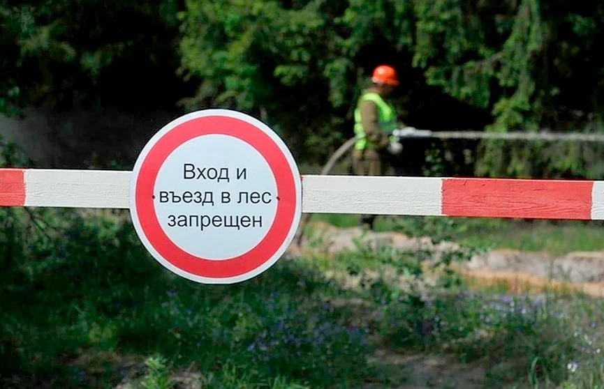 В Беларуси ограничили посещение всех лесов