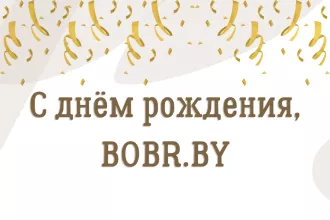 Сегодня сайту BOBR.BY 19 лет!