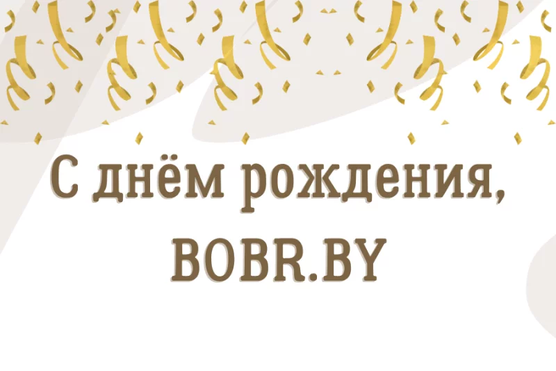 Сегодня сайту BOBR.BY 19 лет!