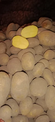 Картофель.Доставка