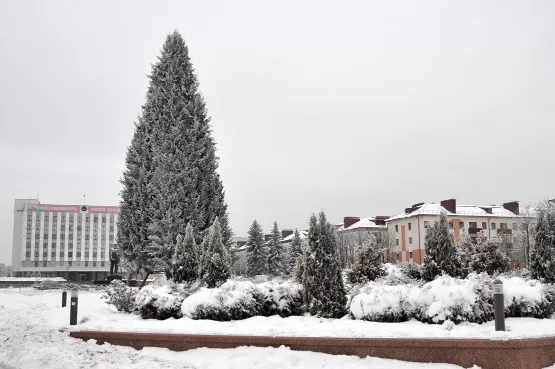 Погодные «качели»: кратковременные морозы, гололед, мокрый снег и возвращение тепла на следующей неделе