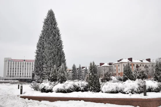 Погодные «качели»: кратковременные морозы, гололед, мокрый снег и возвращение тепла на следующей неделе