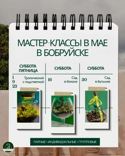 Мастер-класс по созданию флорариума в Бобруйске: расписание на апрель