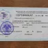 Русский язык. Репетитор.
