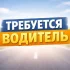 Водитель категории B, С