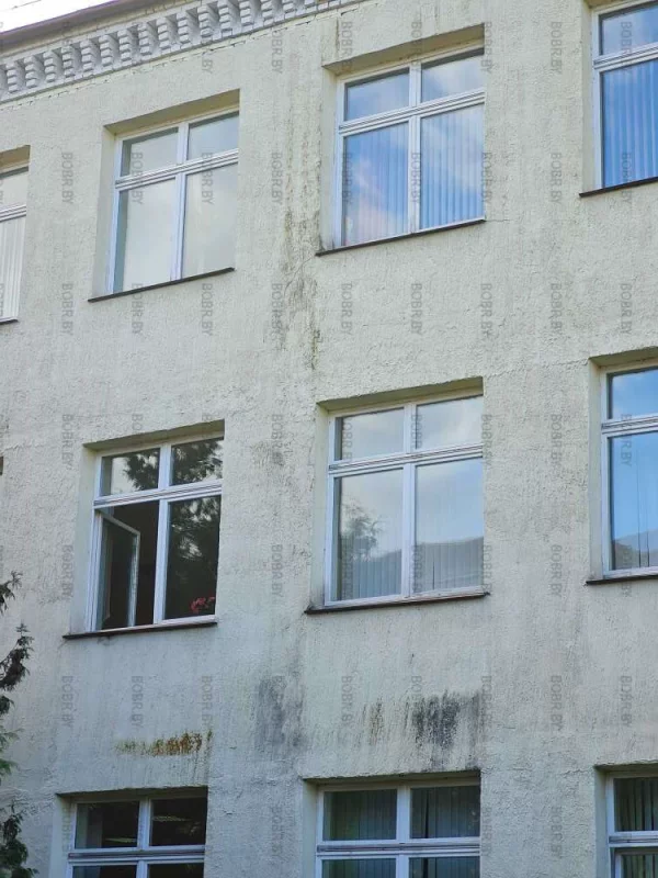 27-я школа покрывается плесенью, но кого это волнует?