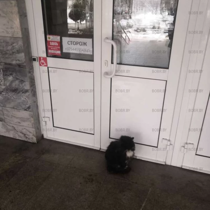 Сторож))) 