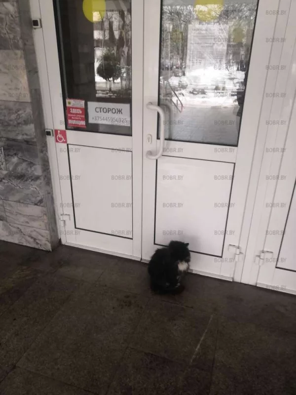 Сторож))) 